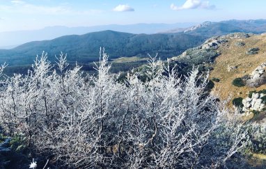 Trekking & Meditation ON THE TOP Snježnik
